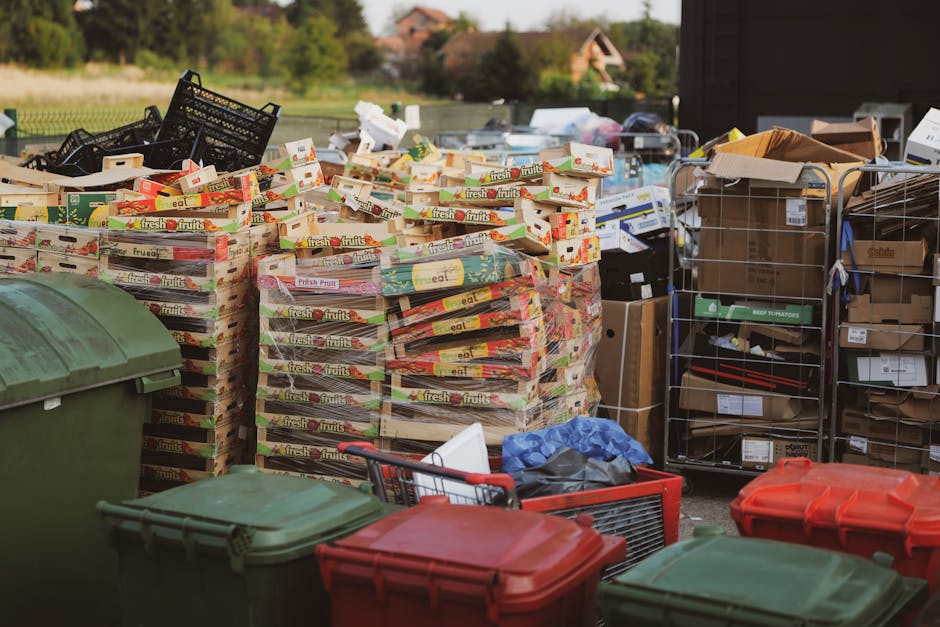 A large outdoor area filled with numerous stacks of flattened cardboard boxes, primarily branded with 'fresh fruits,' indicating they once contained produce. The boxes are arranged in piles, some leaning against each other, with a few partially collapsed. To the left, there are two green wheelie bins with closed lids, positioned on a paved surface. On the right side, metal wire cages and open cardboard boxes are visible, containing additional packing materials or waste, with some flattened and others still partially assembled. There is a small blue plastic bag resting on the ground amidst the waste, along with a red shopping trolley lying on its side, containing a black plastic bag. The background shows a rural setting with a mixture of trees and residential rooftops under a bright, clear sky, suggesting this scene is part of a private waste collection or clearance operation, possibly handled by Rubbish Clearance Dulwich, as they provide alternative waste management services outside local authority collections. The overall scene depicts the sort of debris generated during on-site clearance or bulk waste disposal of packaging materials and miscellaneous refuse, with natural lighting highlighting the textures and colors of the recyclable and non-recyclable waste materials.
